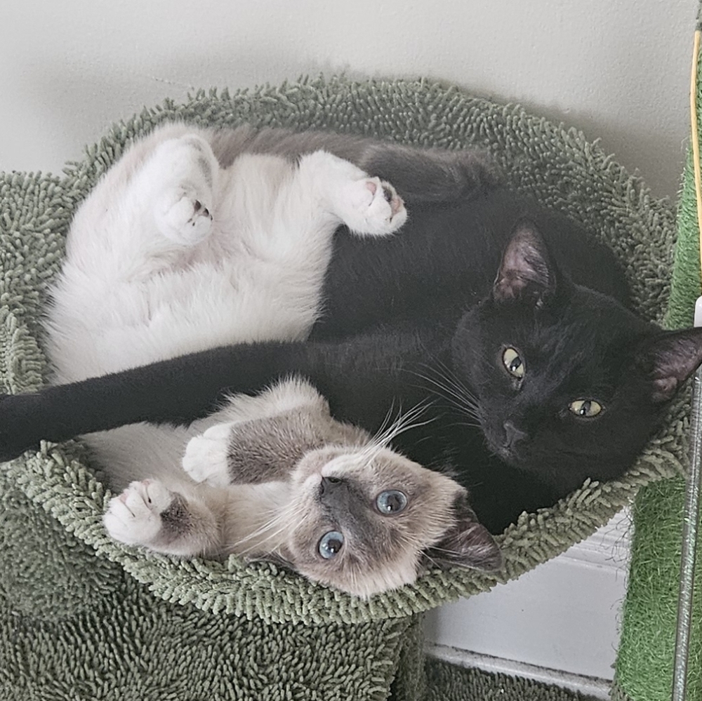 Meet your Posher, GiaLuna